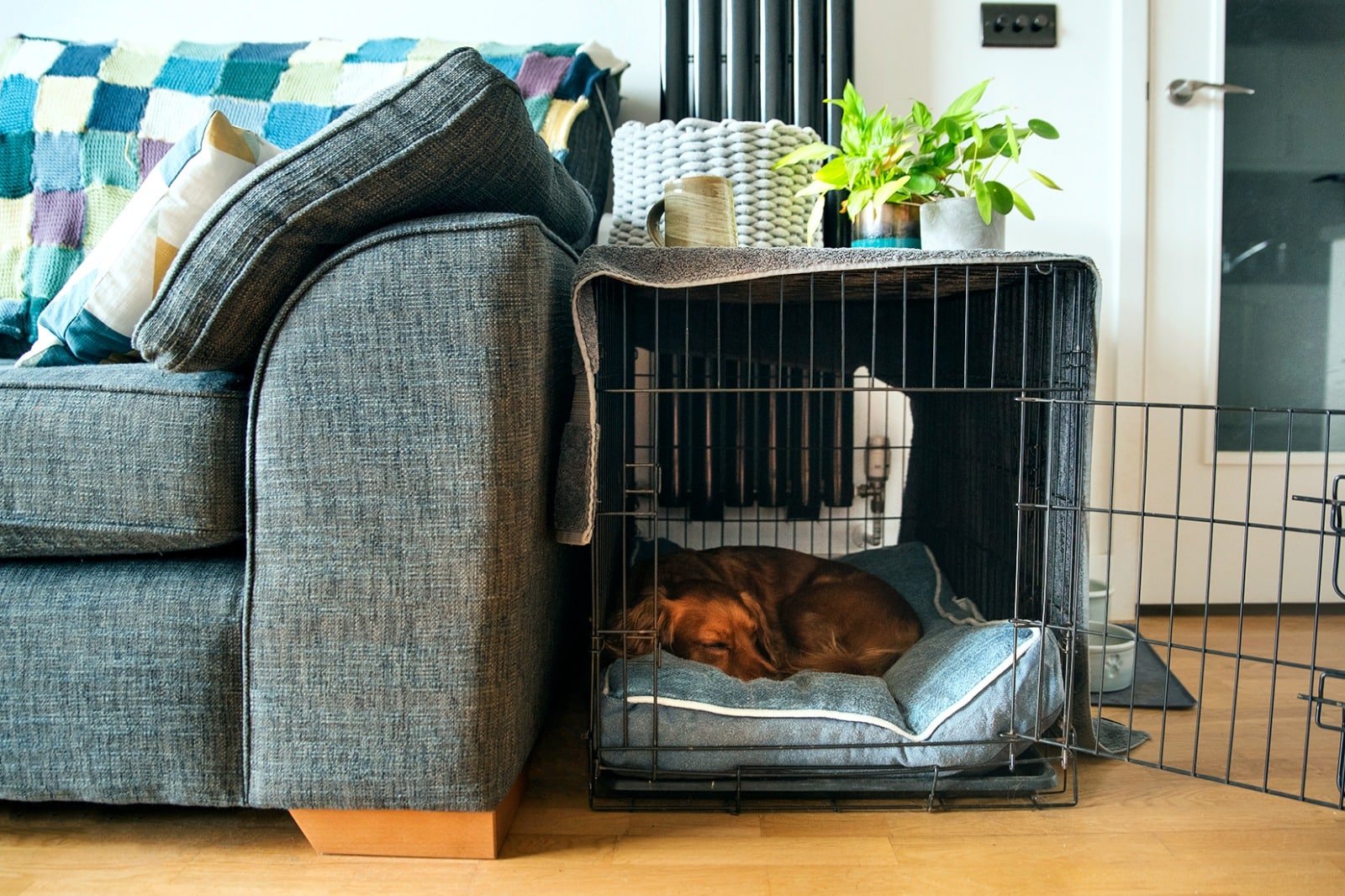 Should you cover a dog crate with a on sale blanket