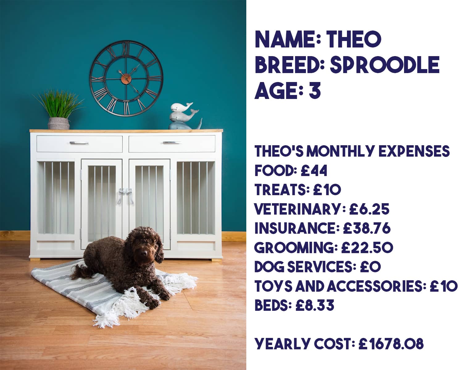 The Pet Carpenter Cost of Owning a Dog 