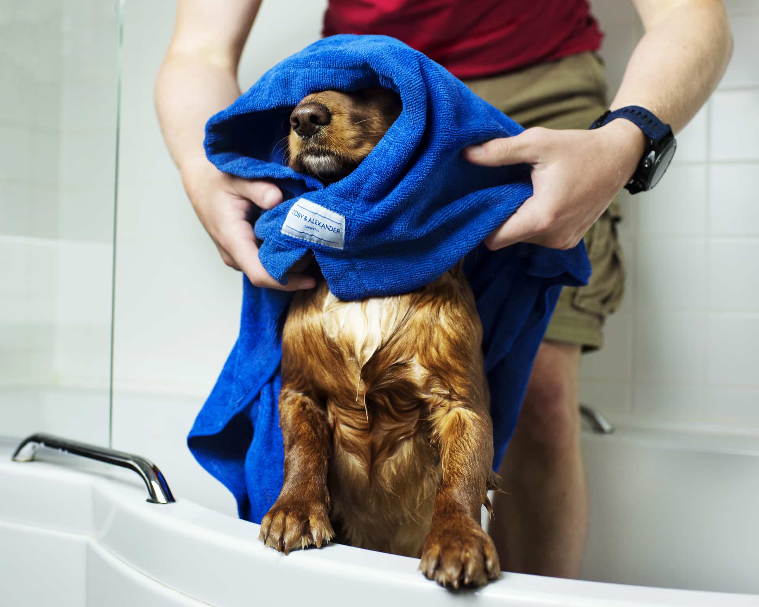 Toby and Alexander Dog Robes | The Pet Carpenter