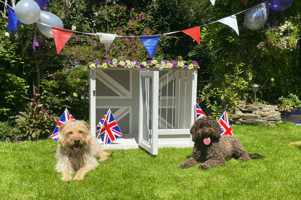 The Jubilee Frankie Pet Crate Bedroom  