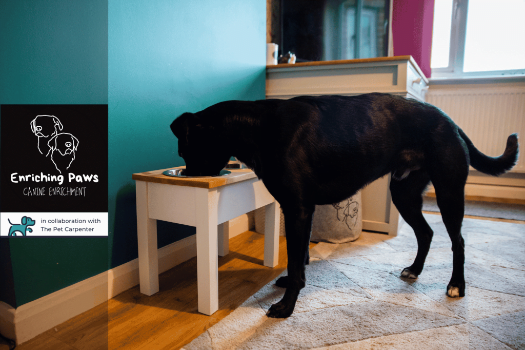Enriching Paws - Raised Feeders