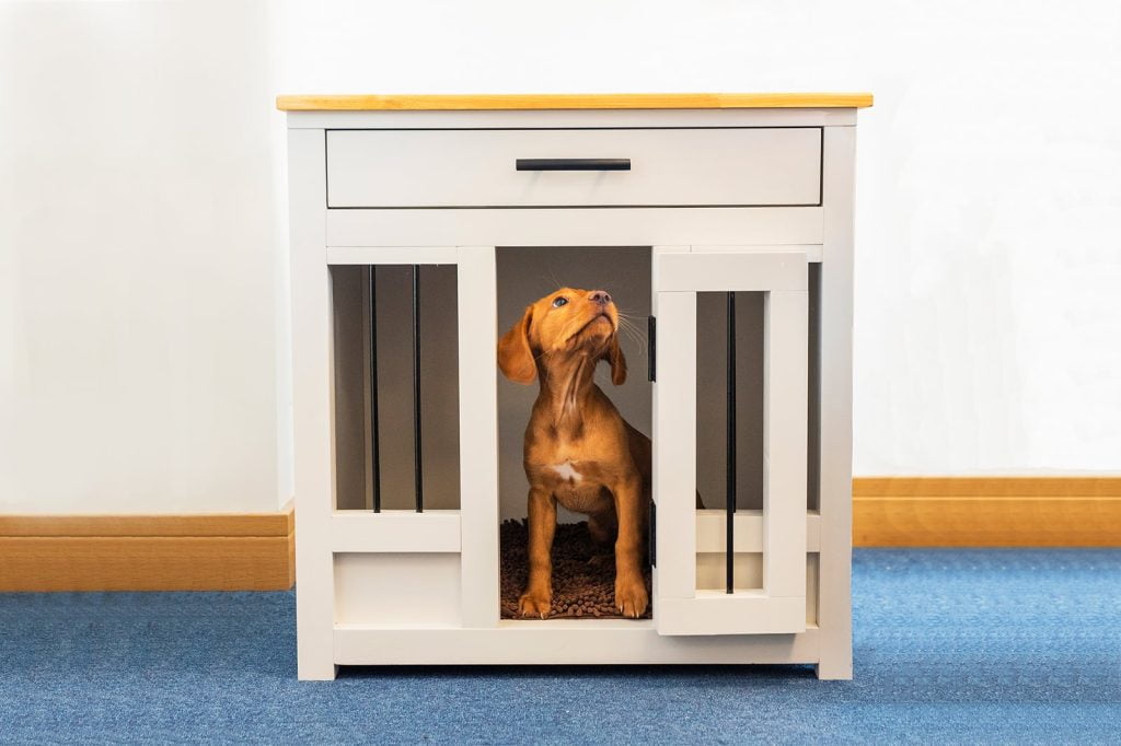 How to Crate Train a Puppy - Pet Carpenter