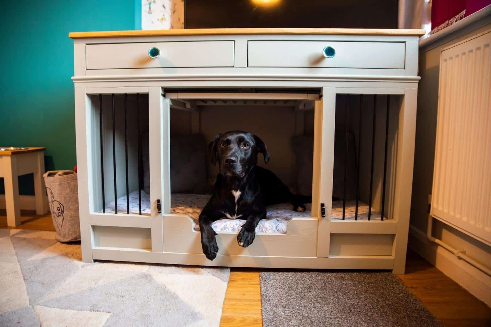 What to Put Inside a Dog Crate - Pet Carpenter