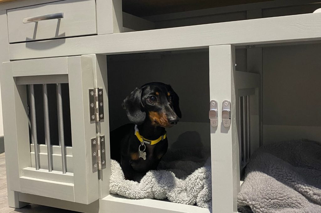 furniture design for small pets