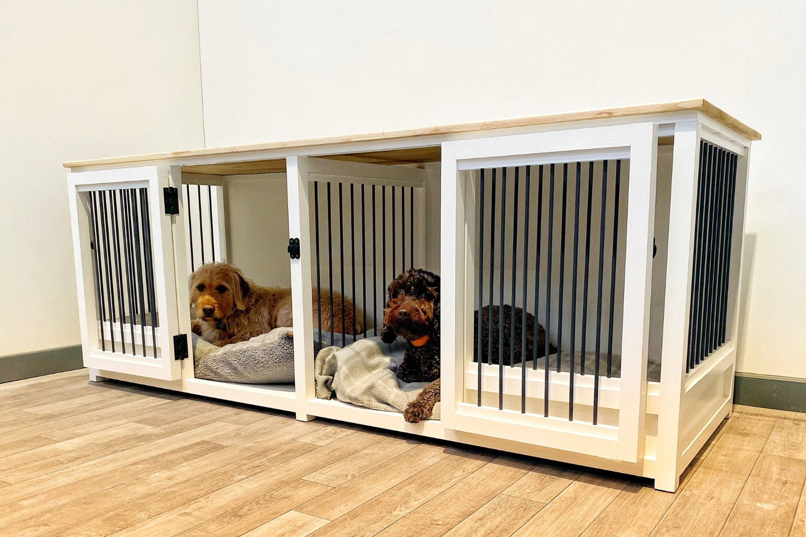 Can You Crate Two Dogs Together