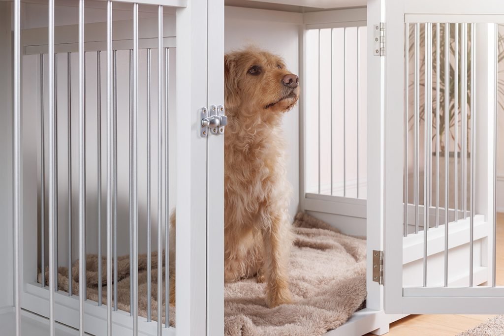 dog in crate