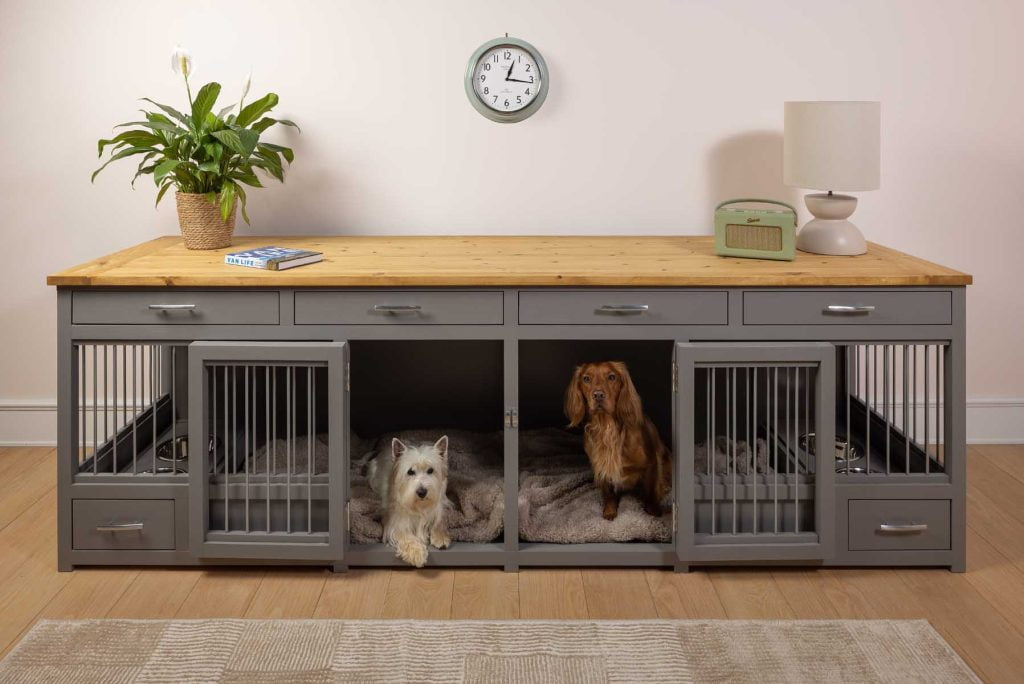 pet bedroom for two dogs