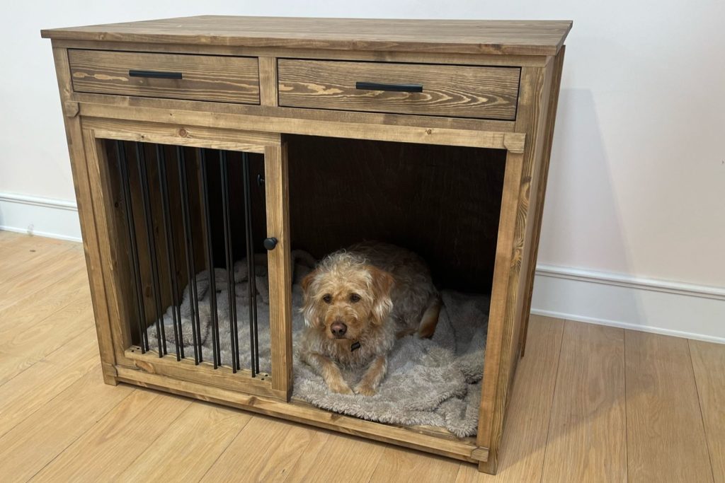dog in bedroom