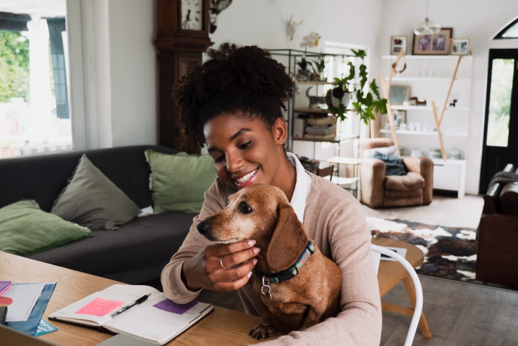 woman at desk with dog on lap
