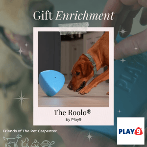 Gift Enrichment toy for Christmas
