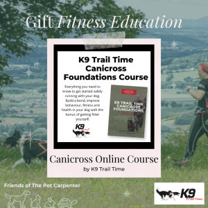 Gift Online Canicorss Course this Christmas