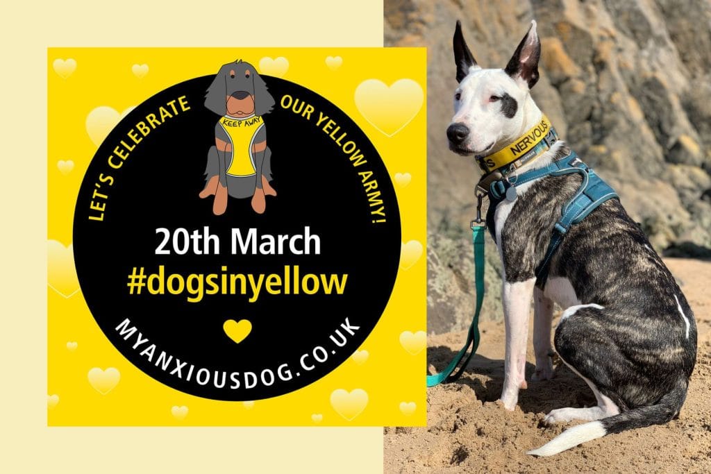 March 20th Dogs In Yellow Day