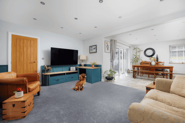 Bespoke fitted pet furniture in open plan living room