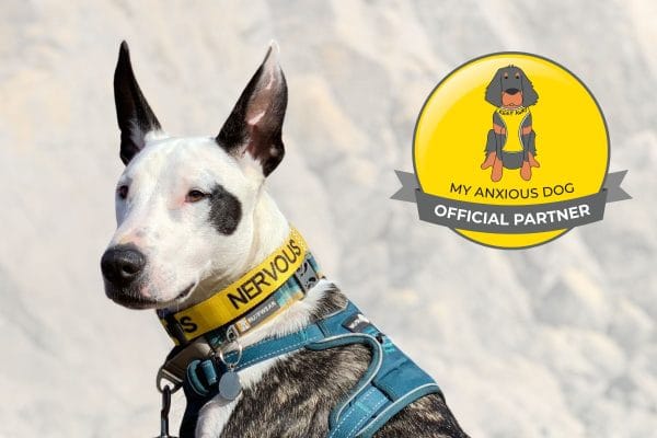 our new partnership with My Anxious Dog