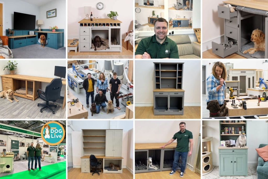 Collection of Pet Furniture by The Pet Carpenter