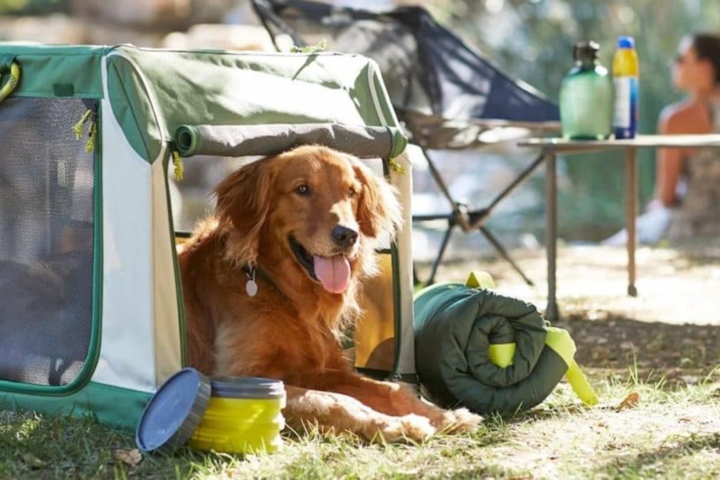 Soft-Sided / Fabric Dog Crate