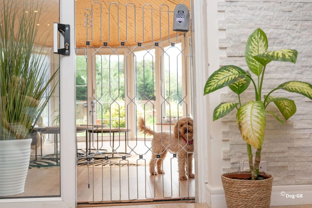 Dog-G8 creating a safe space for a dog in the home